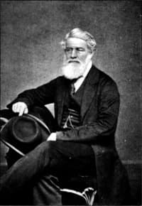 Rev. John Cox